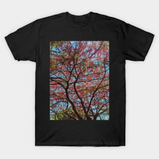 Pink flowers tree photo T-Shirt